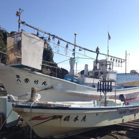 【応援】１万円プラン　低料金で越前町を満喫。四季の海鮮を提供【貸切風呂】【会場食ーテーブル席】