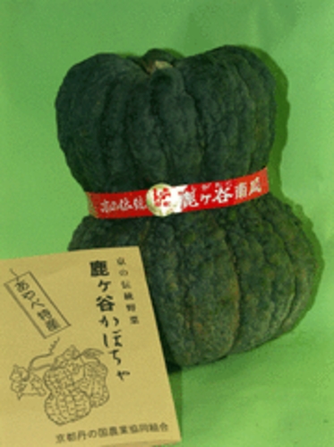 伝統の京野菜鹿ケ谷かぼちゃ