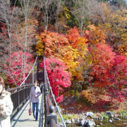 紅葉と山ゆり橋
