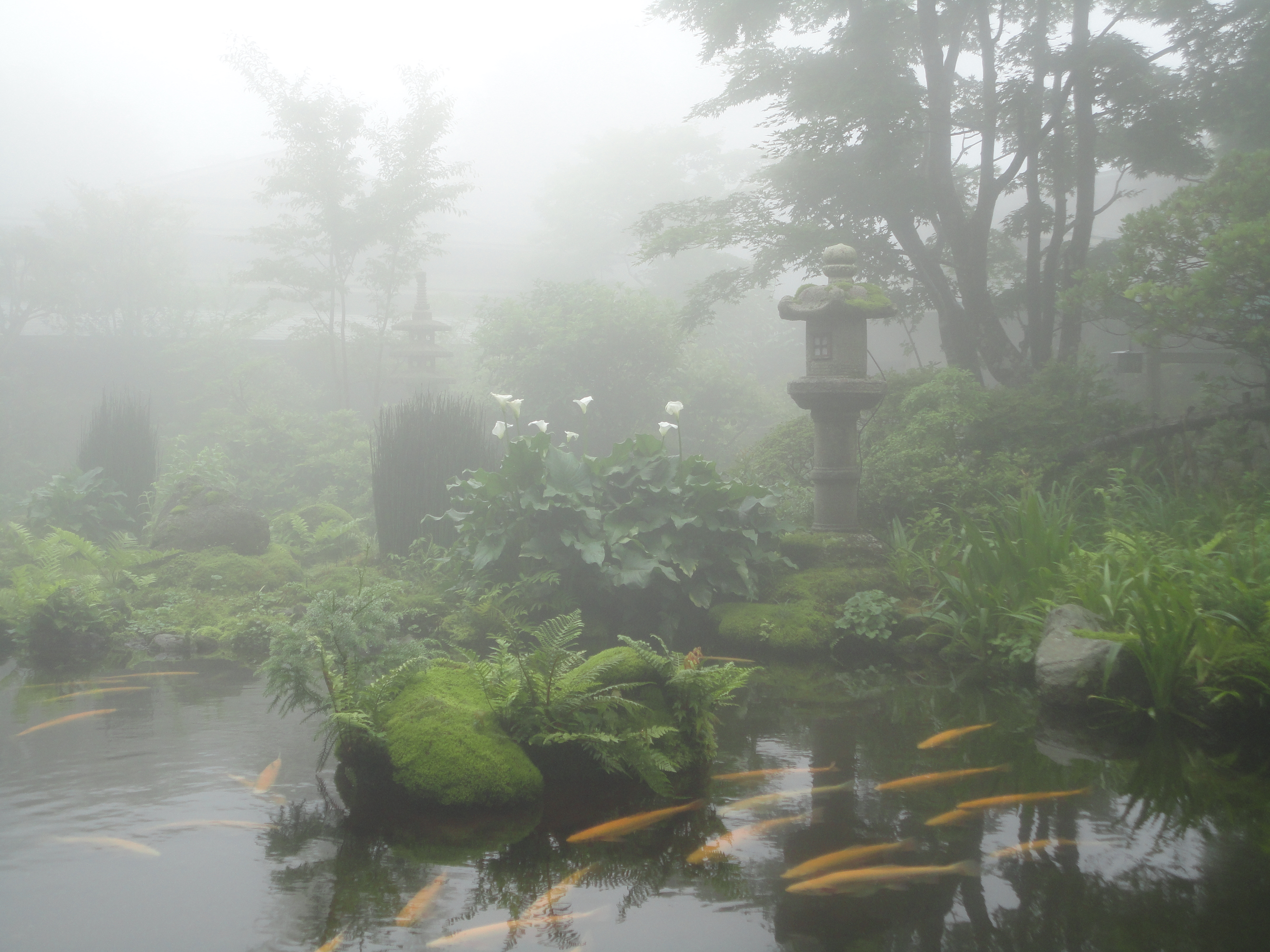 幻想的な情景