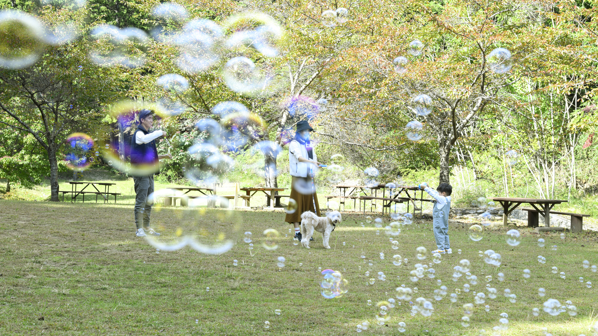 *【芝生広場】野鳥のさえずり、川のせせらぎが耳に気持ちよく響いてきます