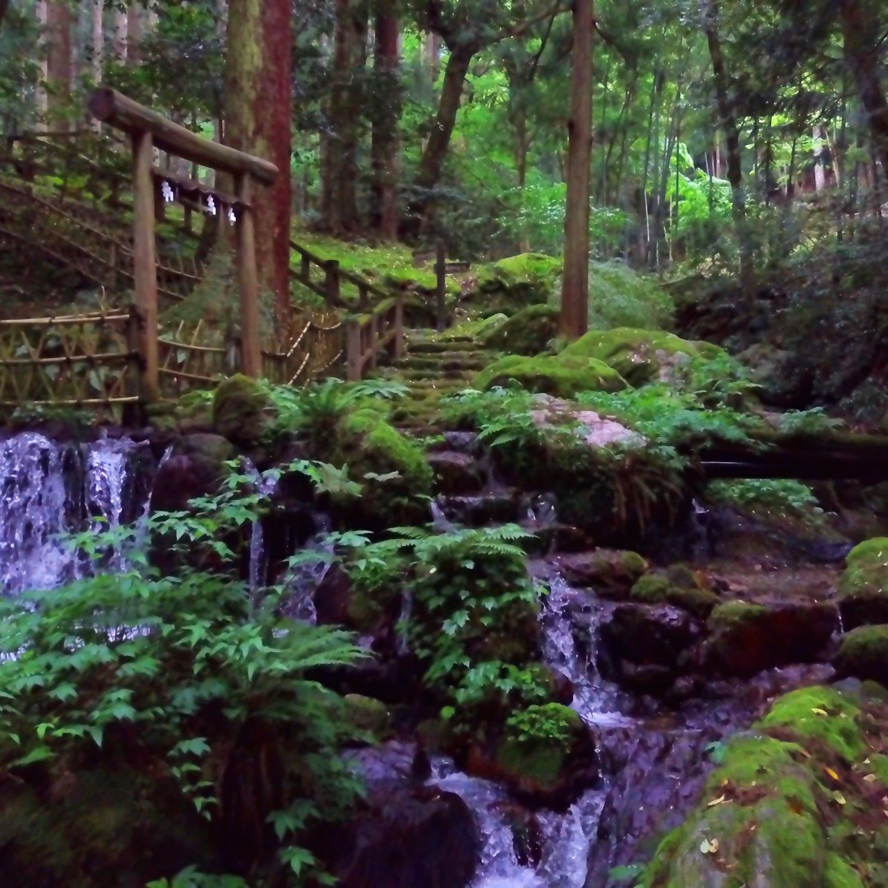 PV　瓜破の滝