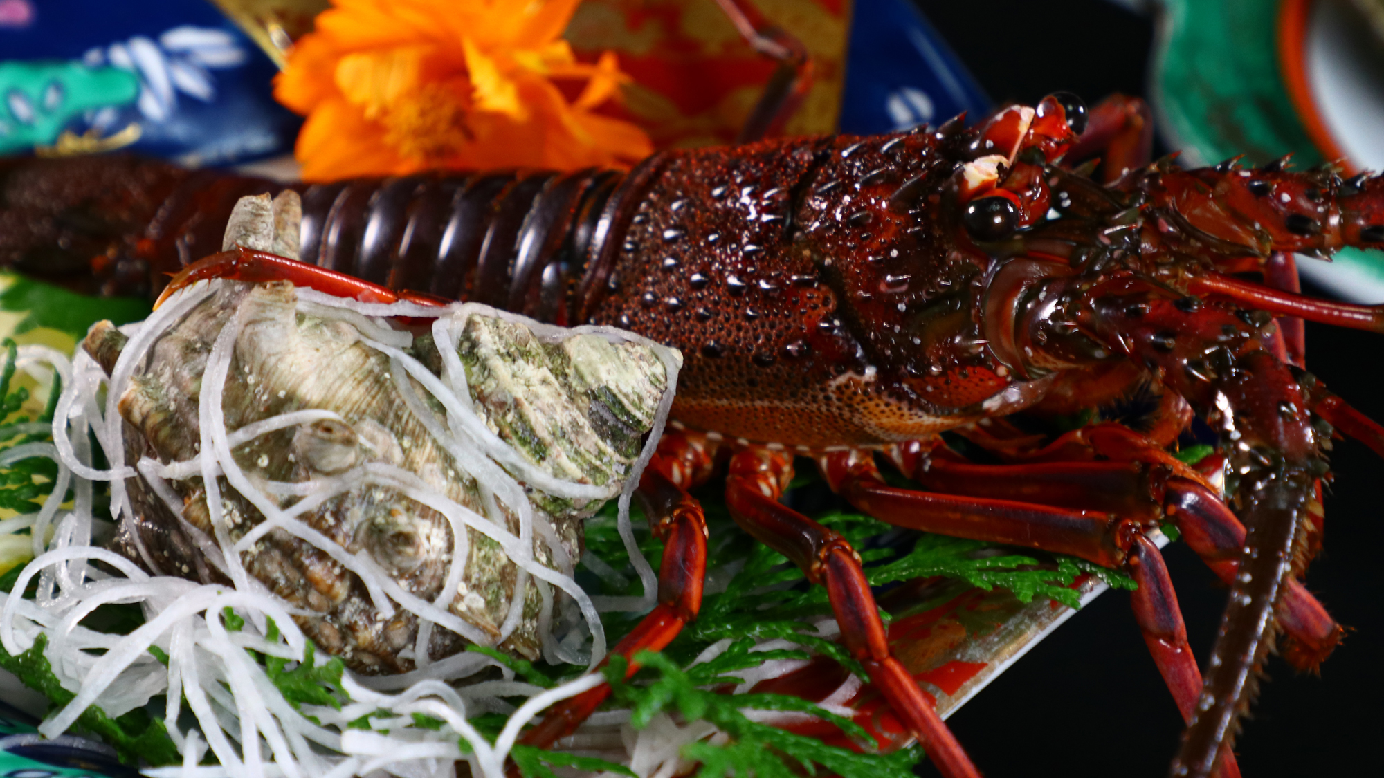 夕食一例◆伊勢海老お造り*