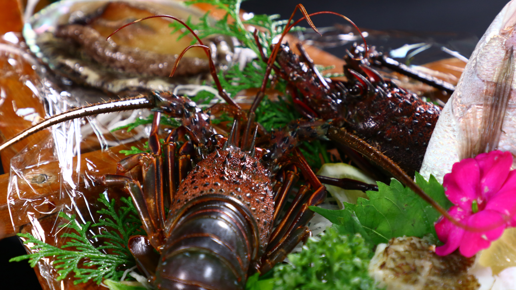 夕食一例◆伊勢海老と鮑のお造り