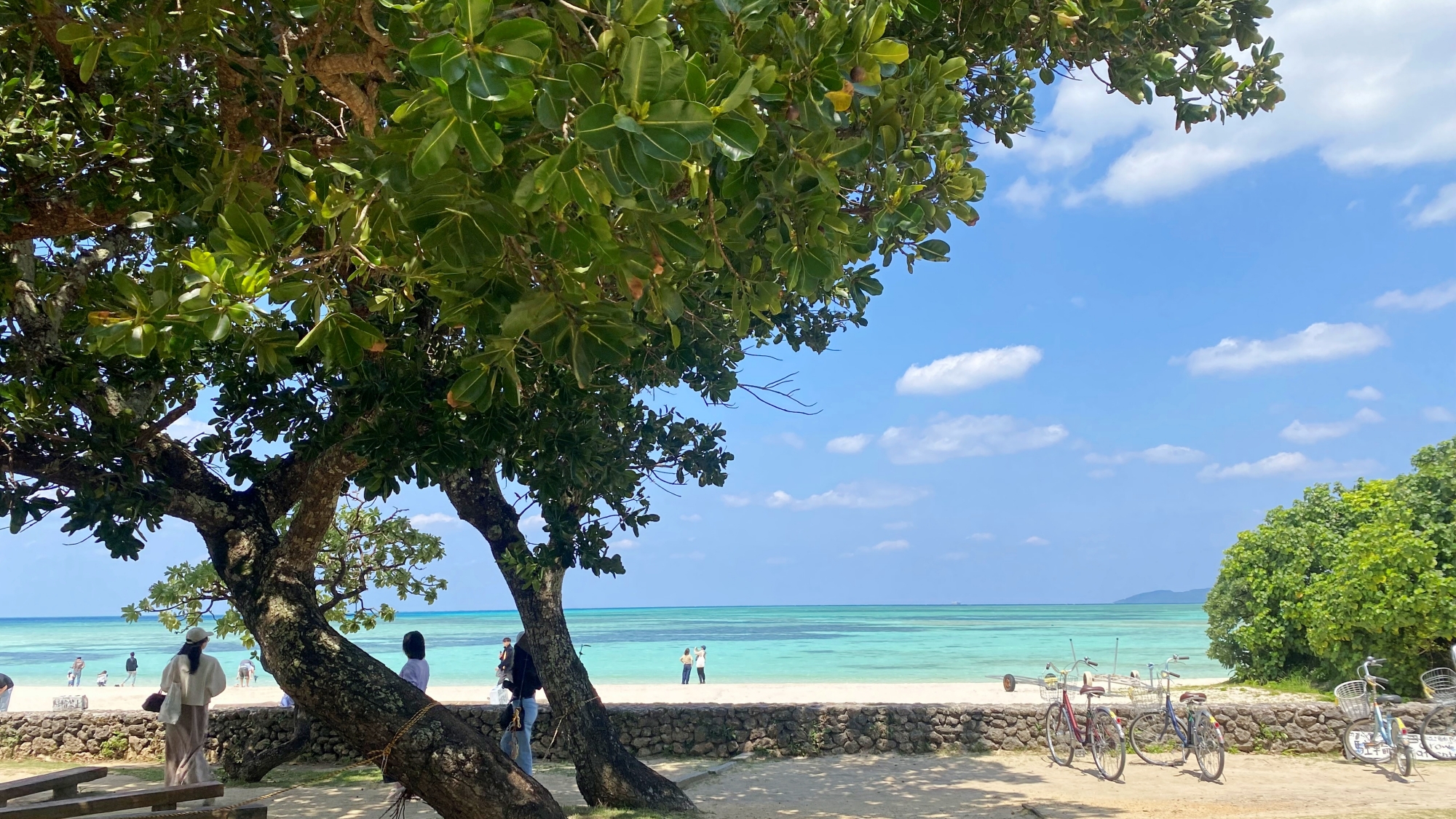 *【コンドイビーチ】自転車を降りて木陰で一息、特別な時間。