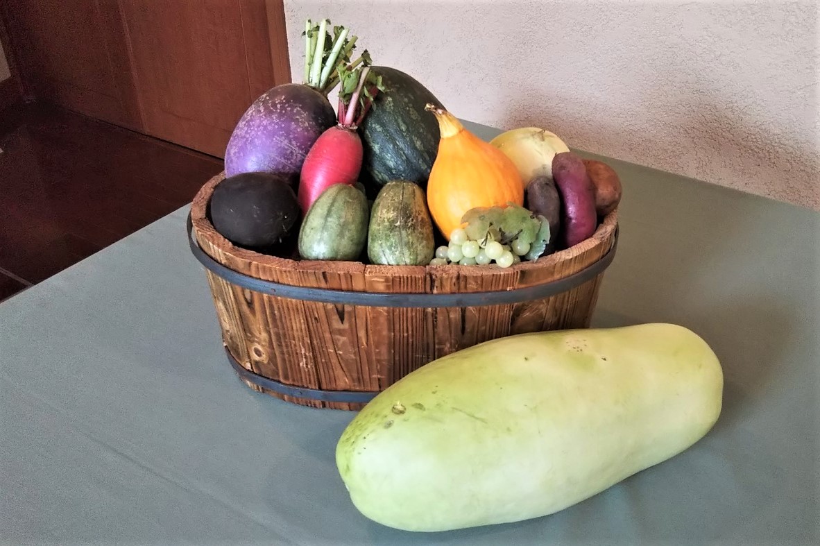 清里の野菜たち