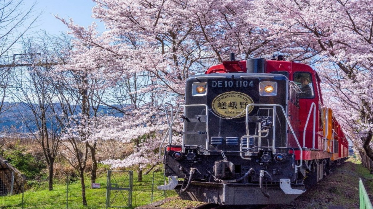 ◆嵯峨野トロッコ列車（春）