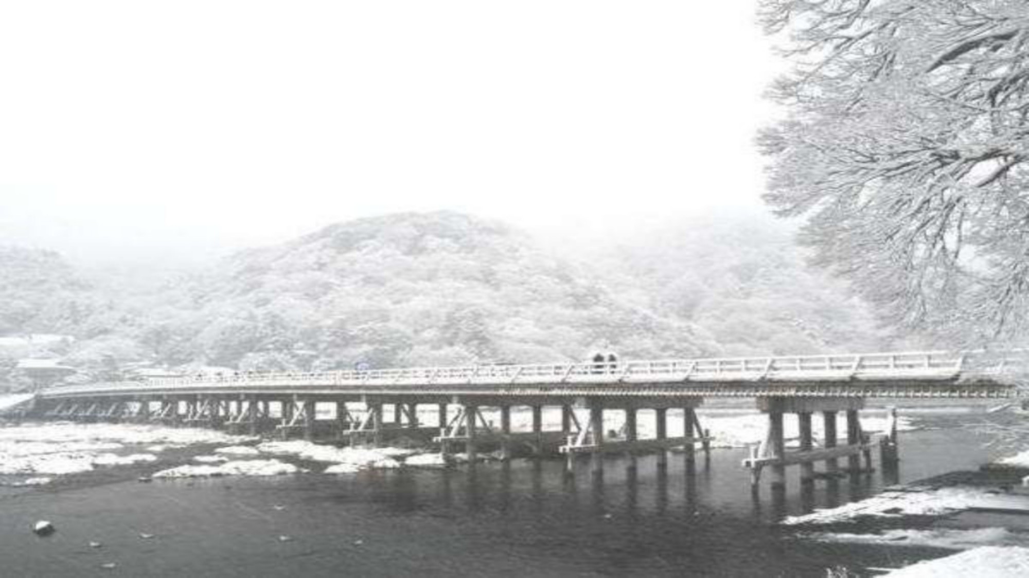 ◆嵐山雪景色