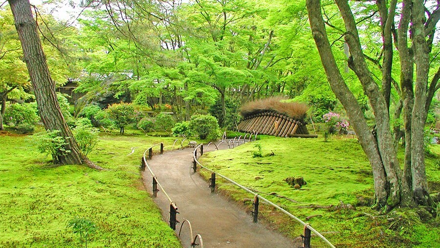 宝厳院（新緑）