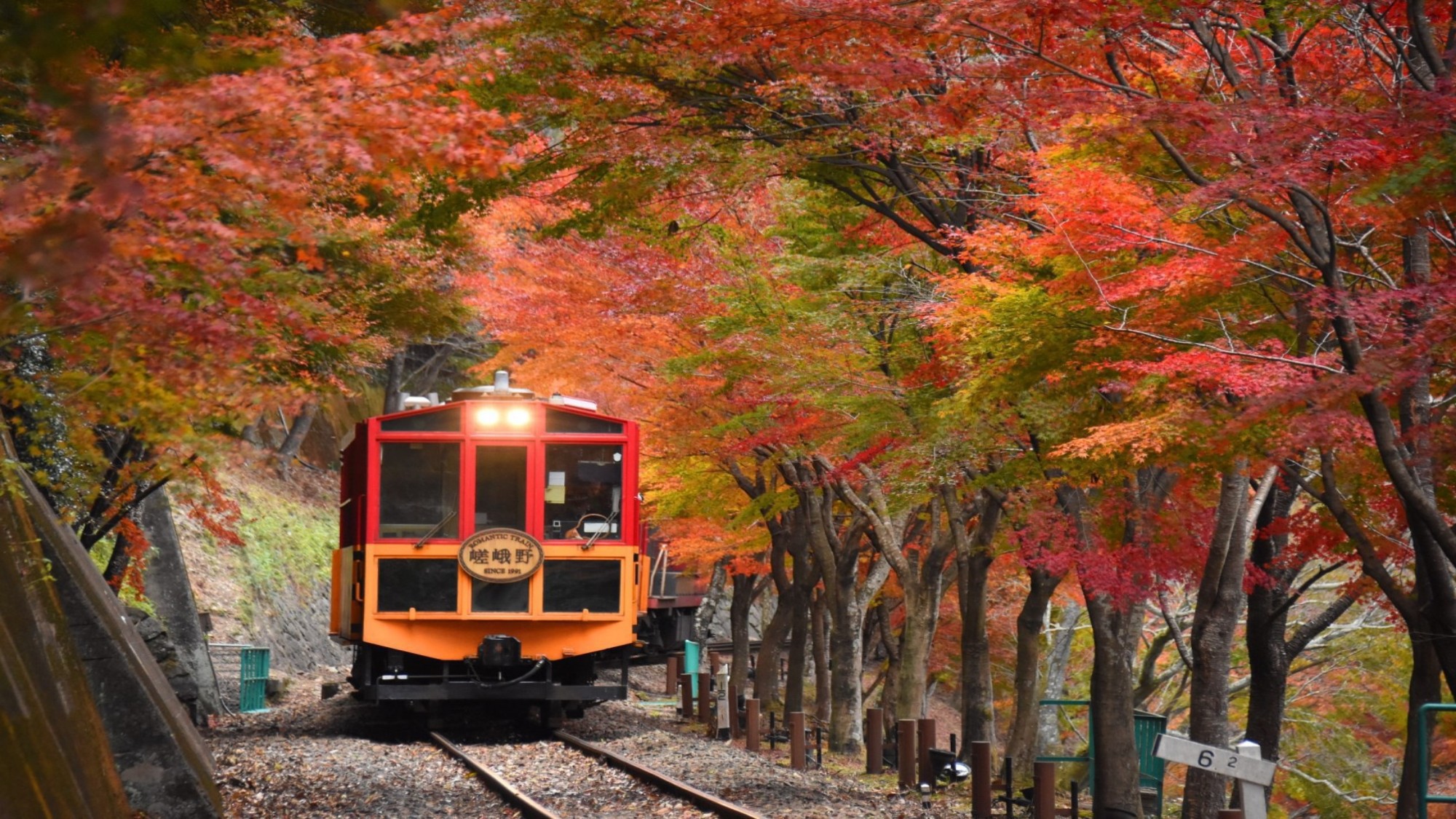 ◆嵯峨野トロッコ列車（秋）