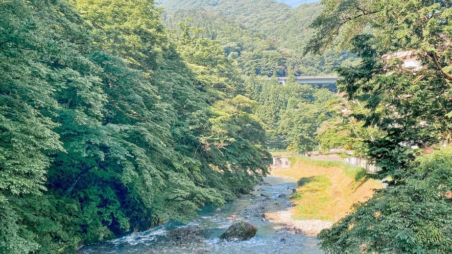 *周辺風景 【夏の四万川】四万温泉から上流の渓谷は吾妻八景の一つになっています。