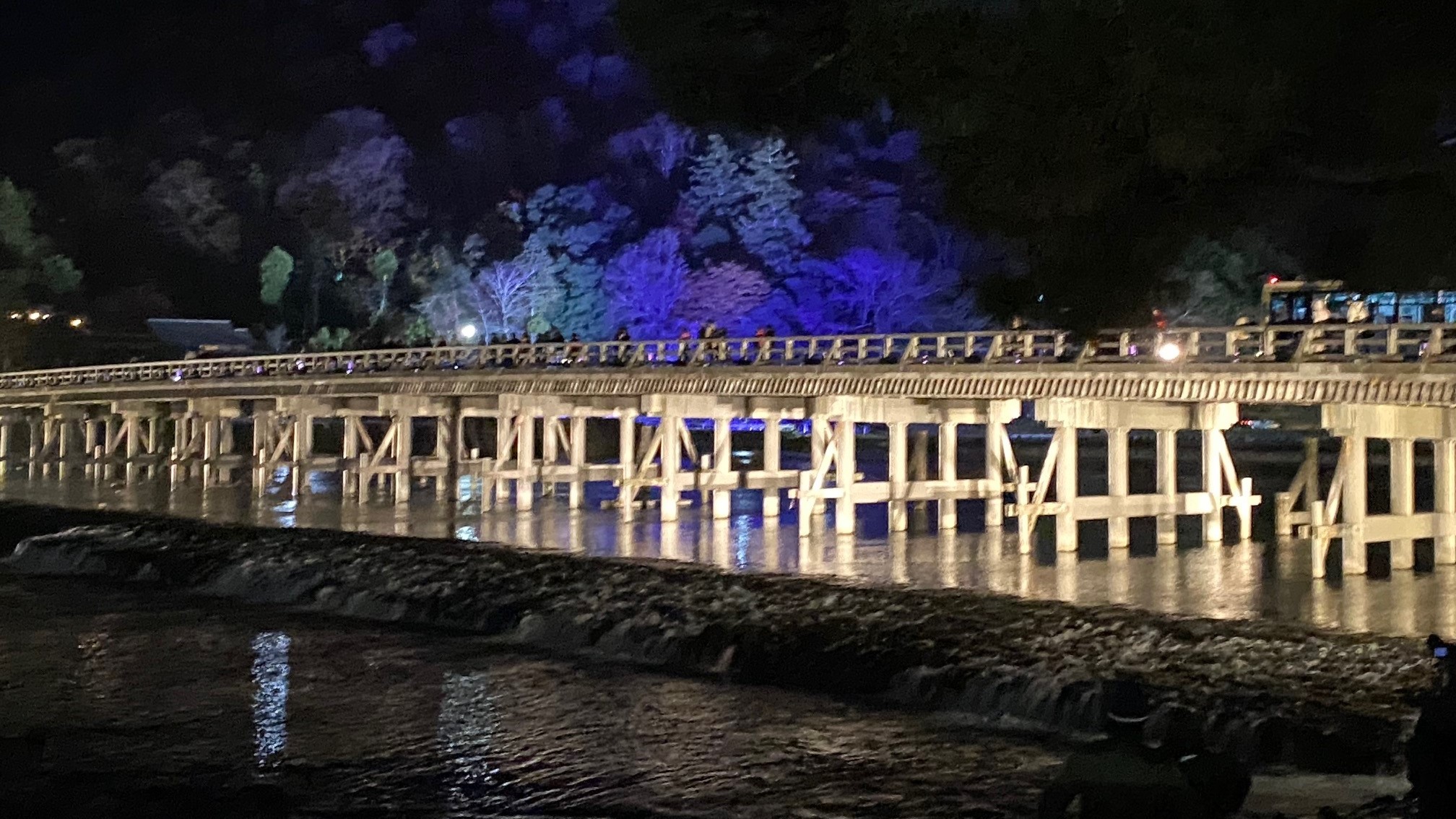 【嵐山】渡月橋の花灯路（´∀｀）