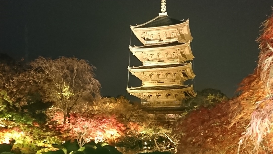 【東寺】紅葉のライトアップ(*ﾟOﾟ)ﾉ 