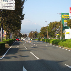 ８００ｍ以上直進すると左手にガリバーが見えてきます。