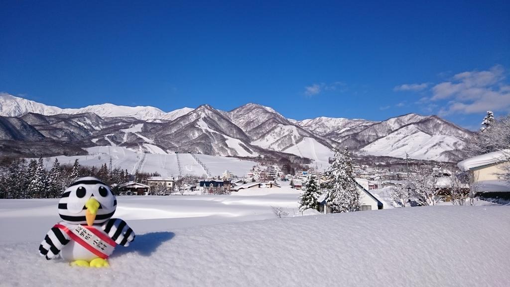 栂池高原スキー場の様子