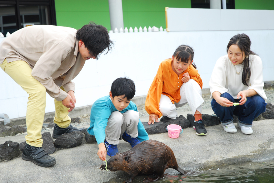 ふれあい動物王国イメージ