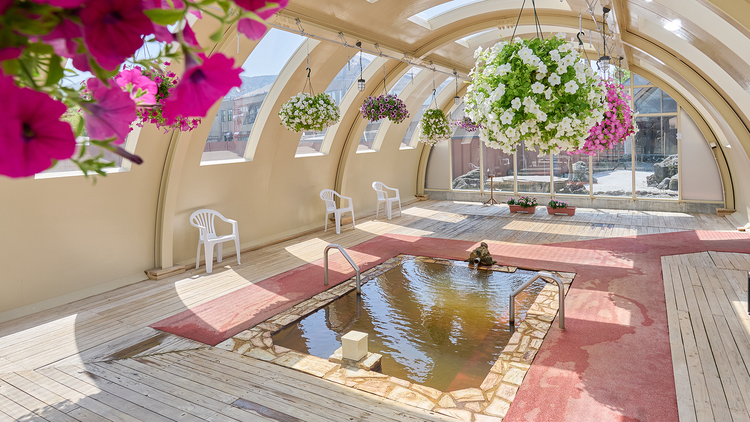 大自然阿蘇健康の森【阿蘇健康火山温泉】露天エリア　フラワースパ