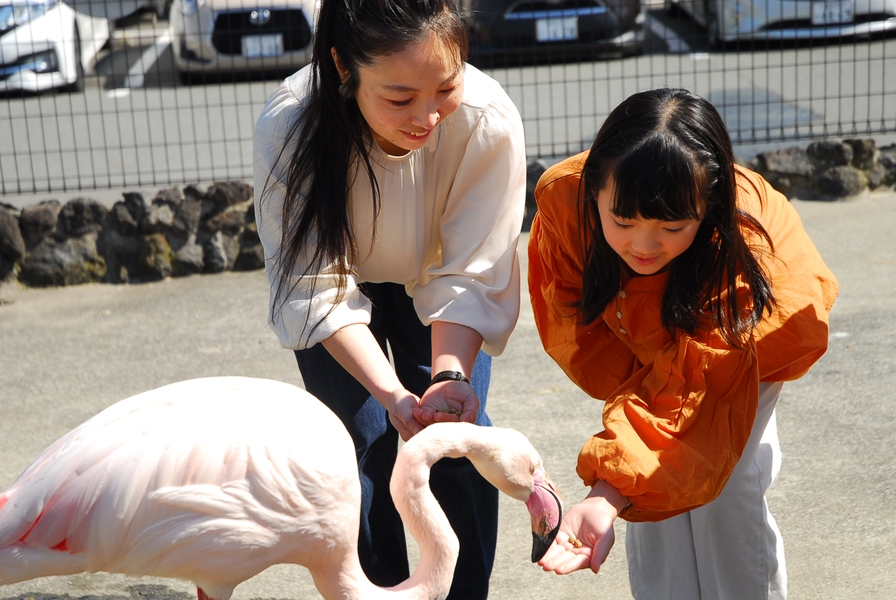 【夏休み特別企画】★元気の森×ふれあい動物王国×２食付き★ たのしい夏の思い出プラン