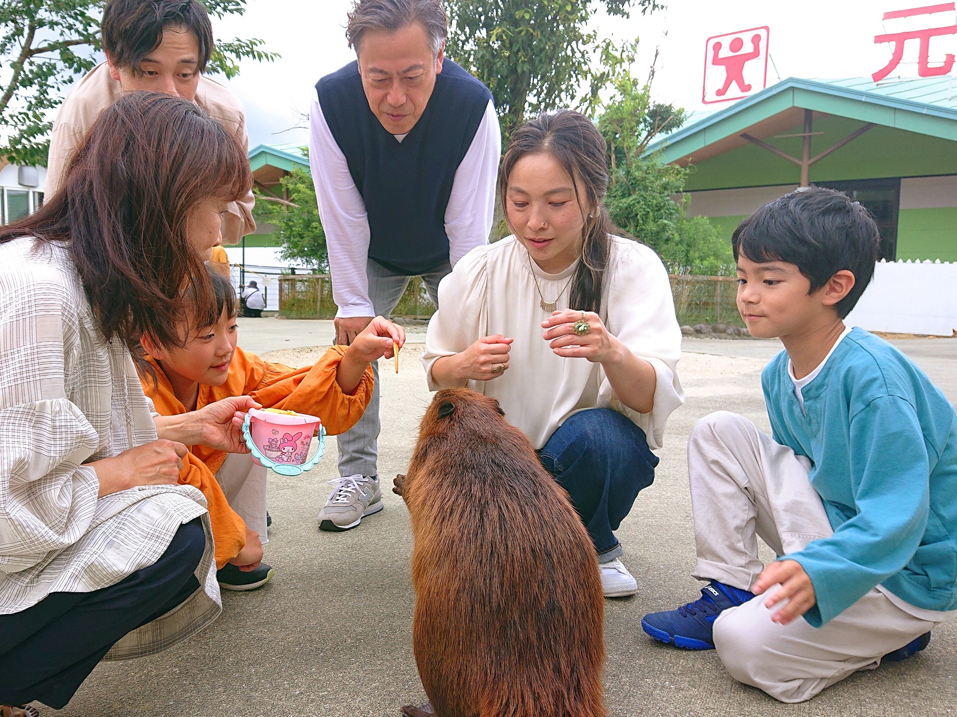 ふれあい動物王国イメージ