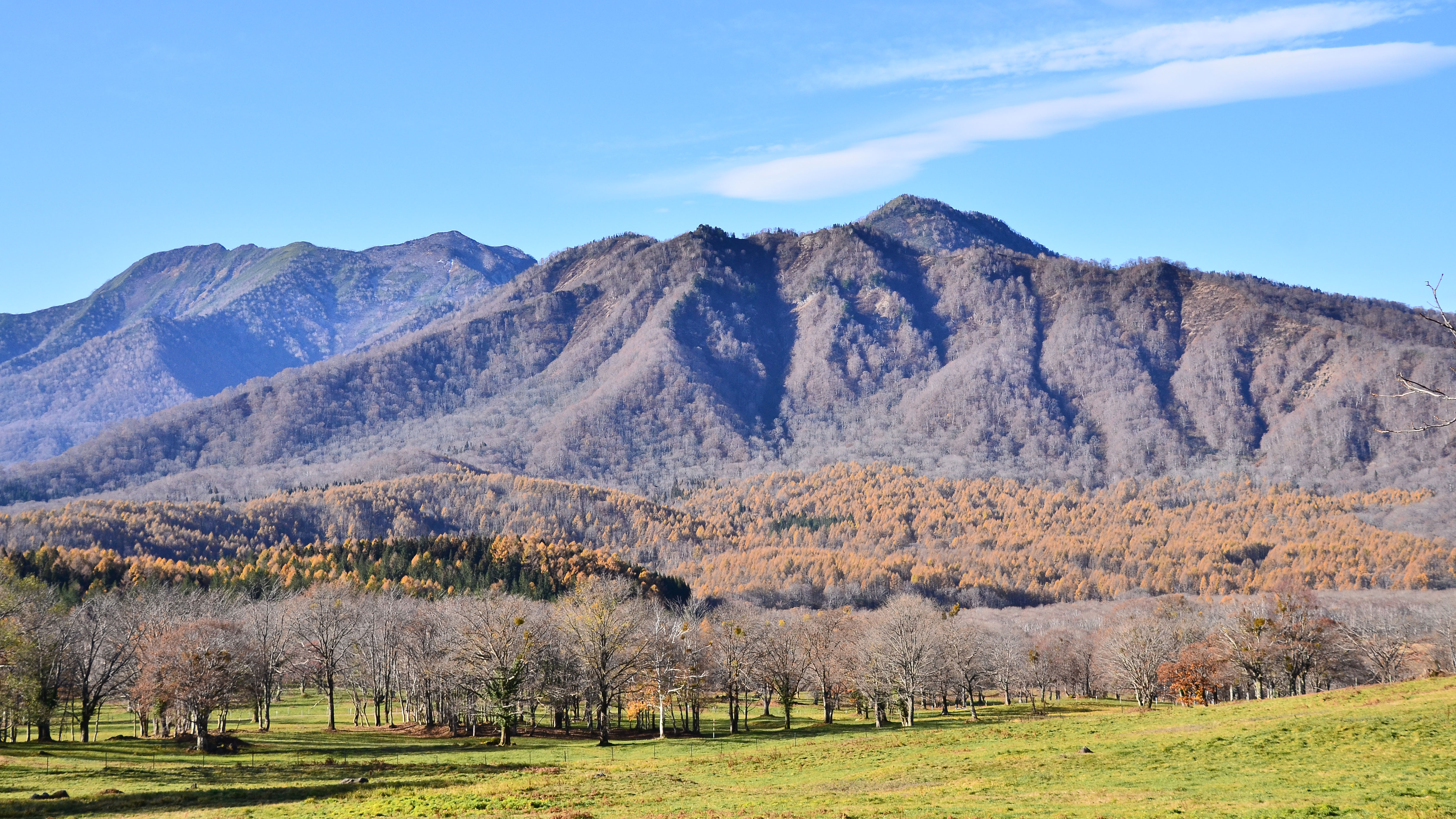 *周辺観光／笹ヶ峰牧場　秋の風景