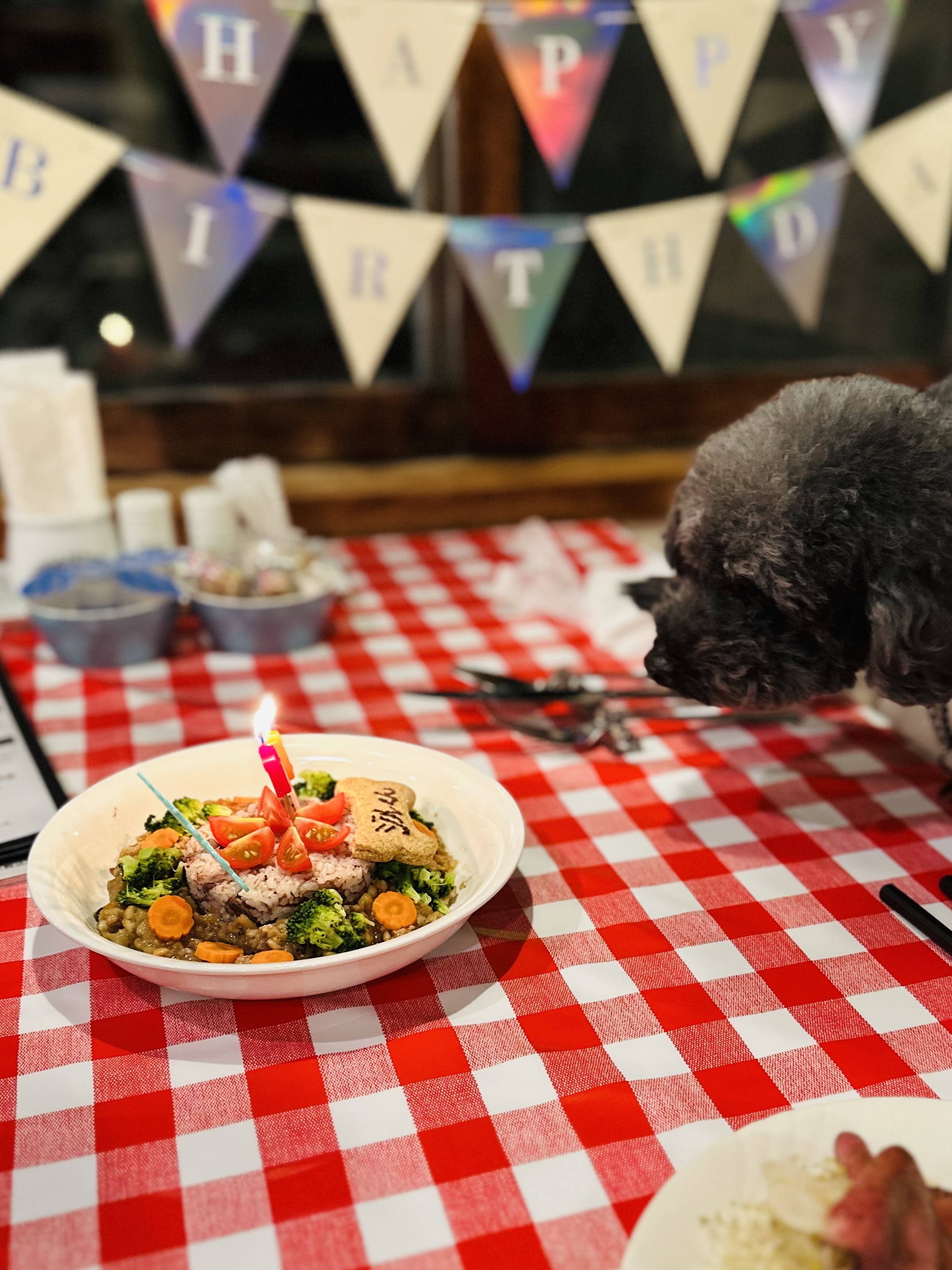 お誕生日のワンちゃんにケーキ型ご飯を無料でご提供