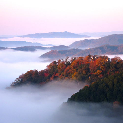 雲海に浮かんだ備中松山城の姿は幻想的