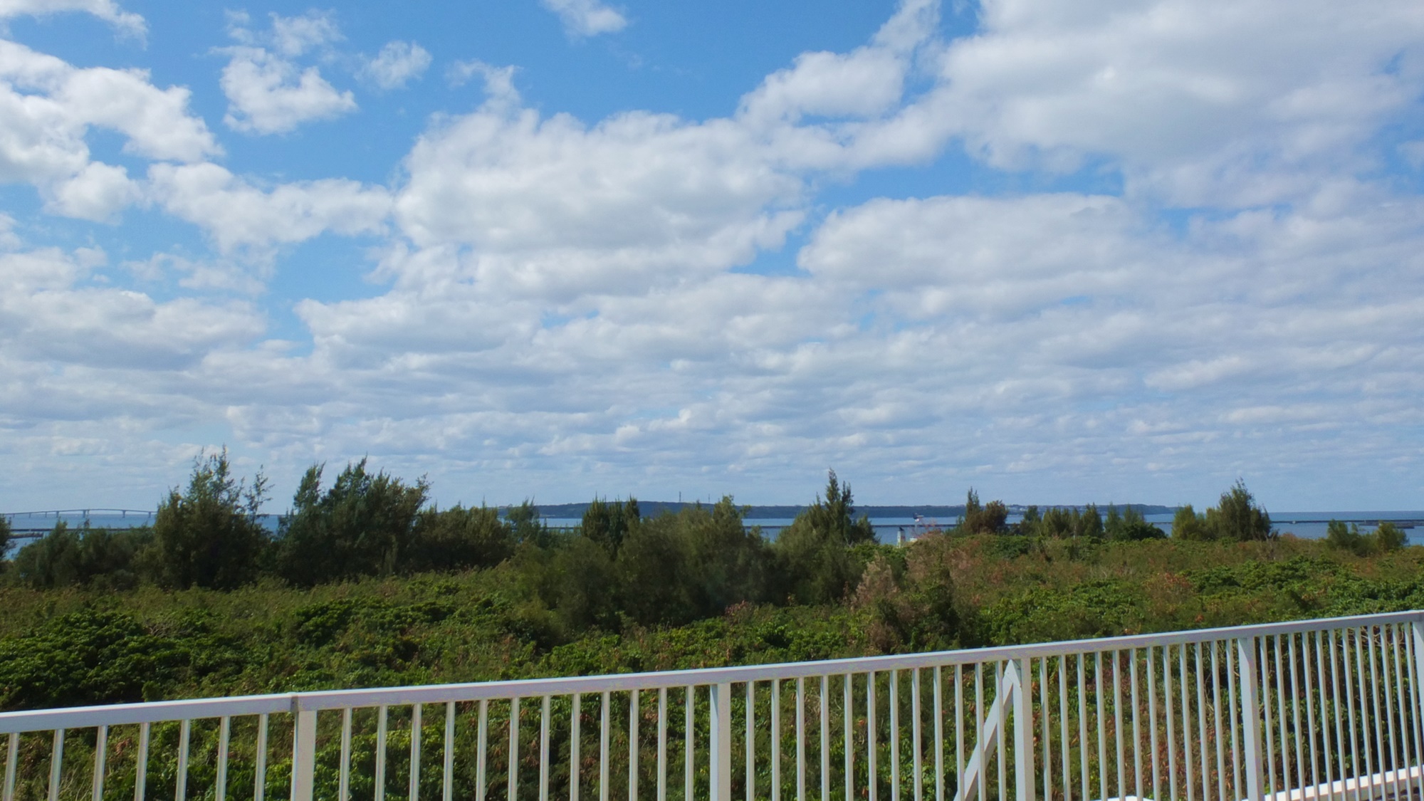*屋上／夜はごろんと寝転んで、宮古島でしか見れない星空をお楽しみください。
