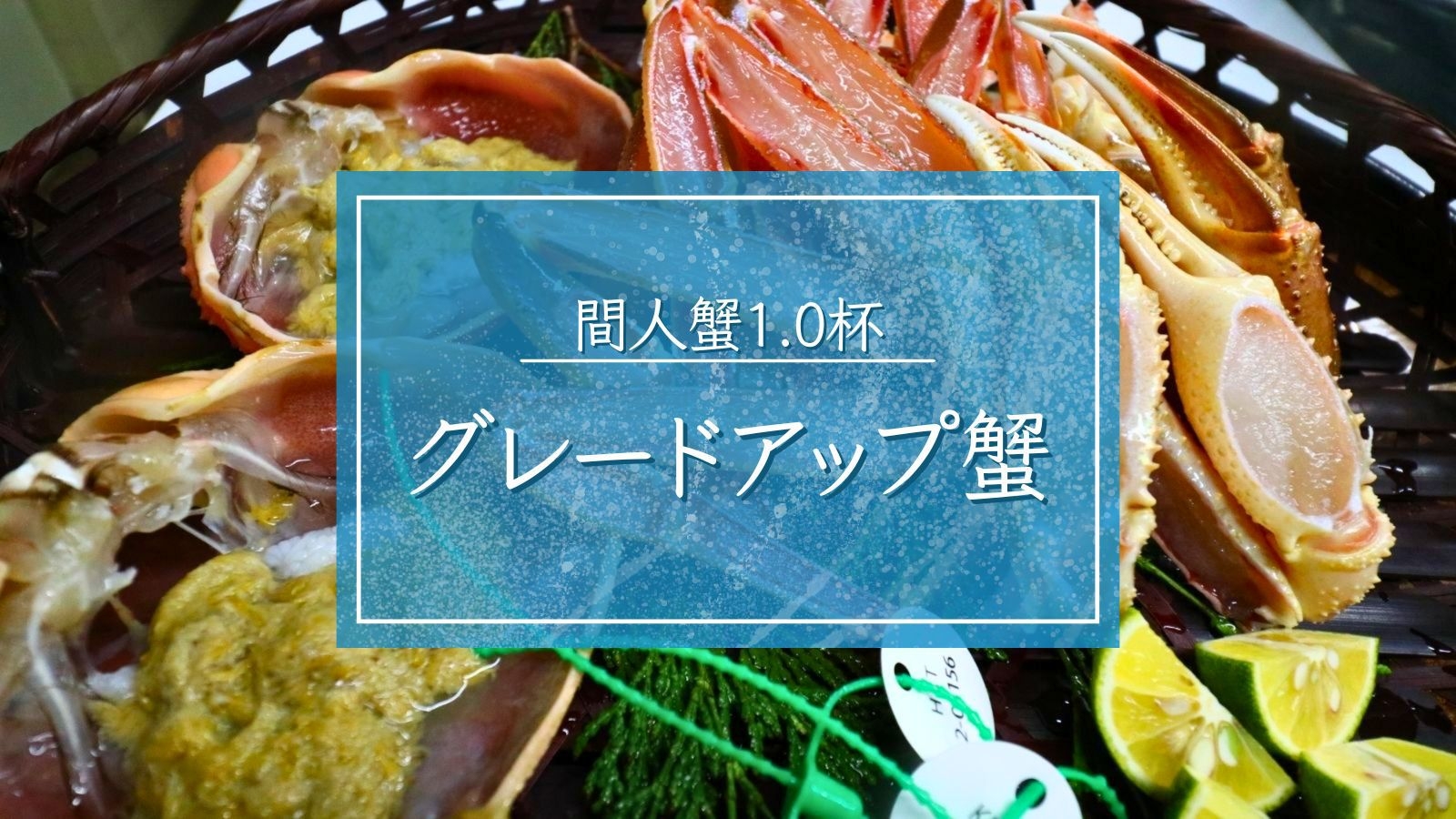 【グレードアップ蟹】選り抜き活間人蟹1杯■刺身・炭火焼・すき鍋で食べ尽くす｜極みカニフルコース