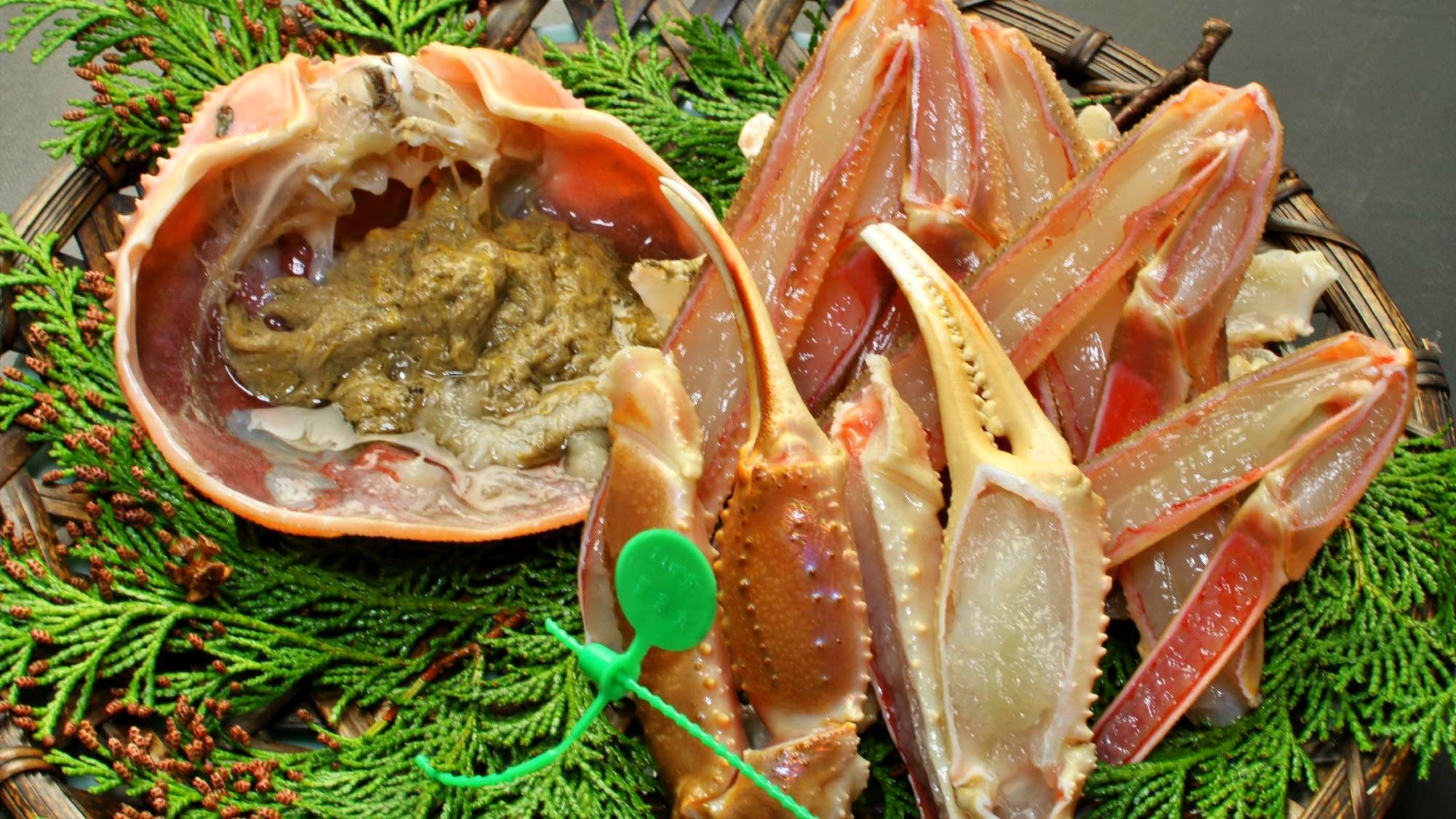 【吟味大蟹】地物タグ付き 活間人蟹 1.0杯｜間人極みカニフルコース