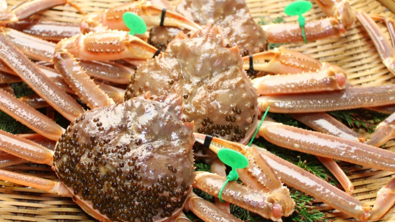 【間人蟹】冬のブランド蟹、20年以上カニと向き合う料理人の目利きで厳選