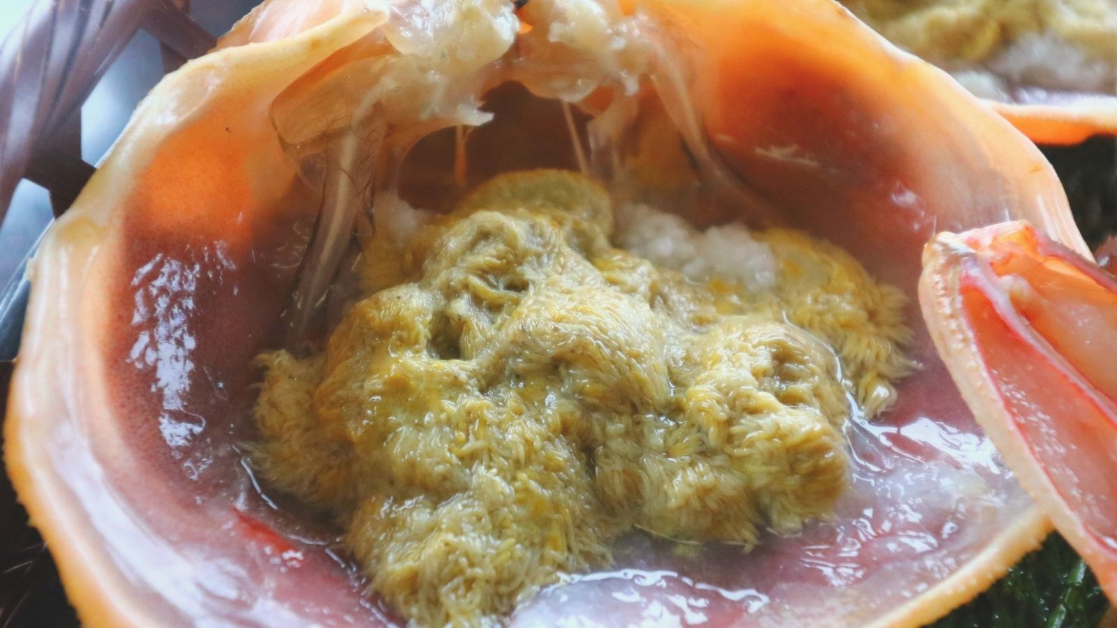 濃厚な蟹みそがとろける瞬間。新鮮だからこその贅沢な味わいです