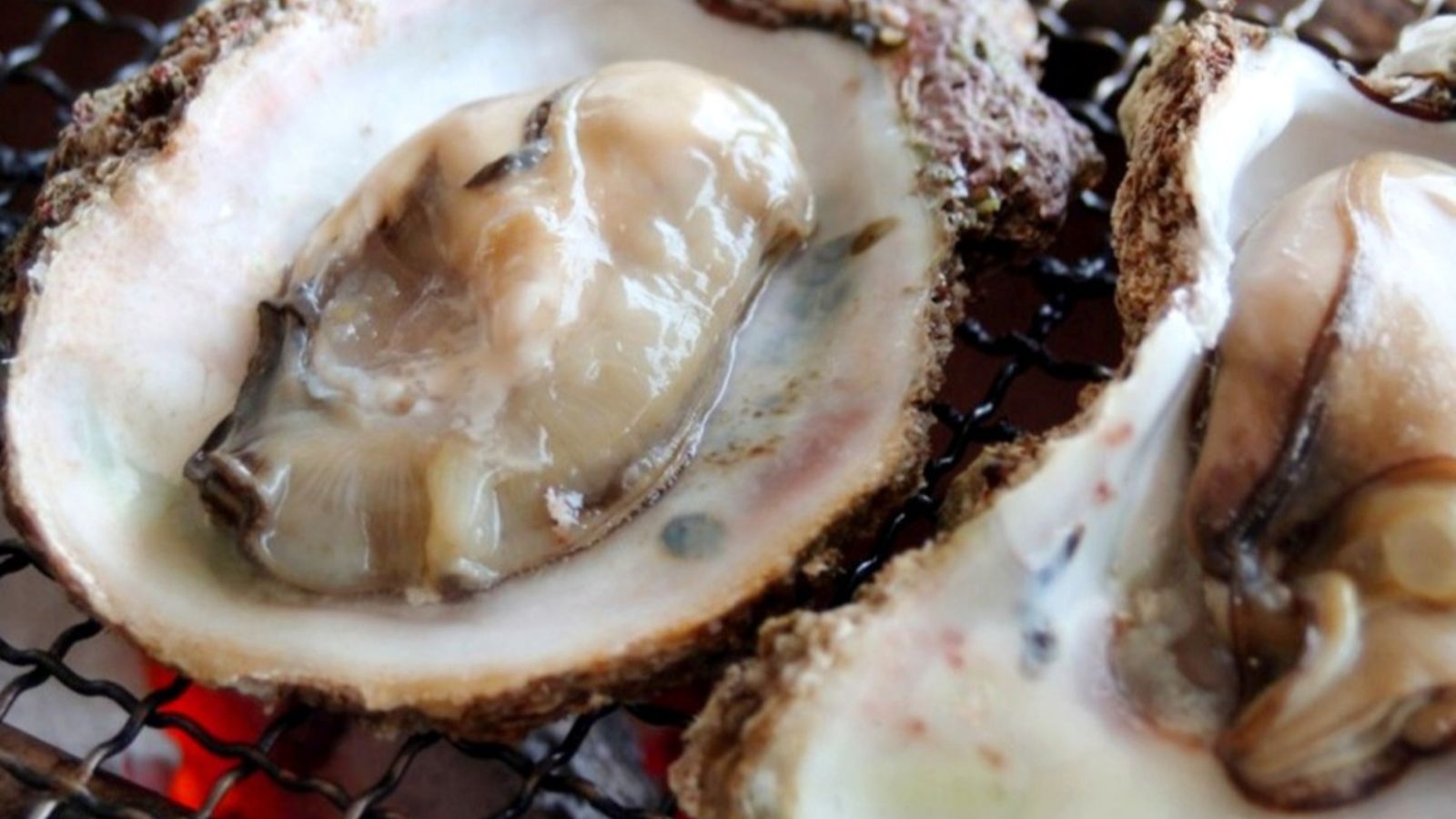 【真牡蠣】冬の旬食材は蟹だけじゃない。小ぶりで肉厚の濃厚な味わいが特徴です。