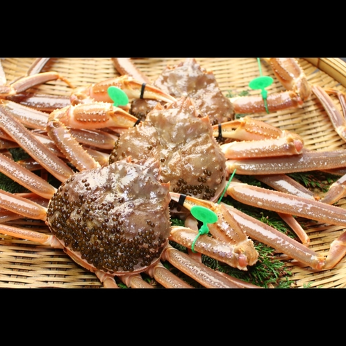【間人蟹】冬のブランド蟹、20年以上カニと向き合う料理人の目利きで厳選