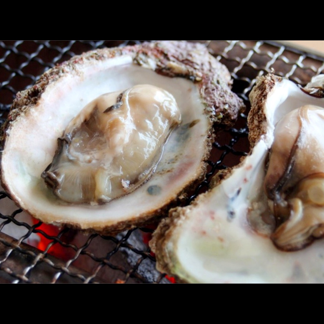 【真牡蠣】冬の旬食材は蟹だけじゃない。小ぶりで肉厚の濃厚な味わいが特徴です。