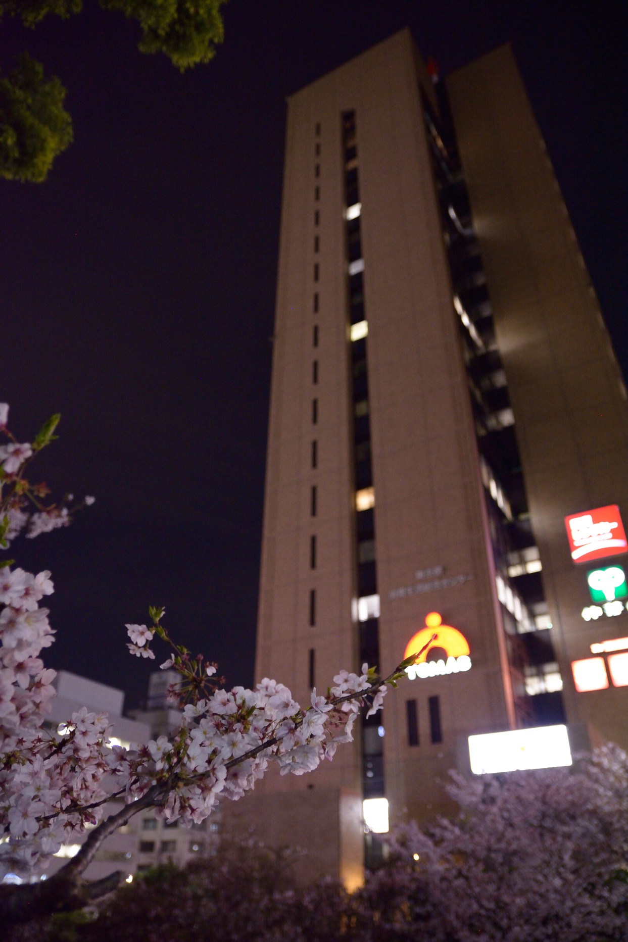 ☆夜景一望の客室☆１室利用プラン【ご家族におすすめ】【おひとり様も個室利用】