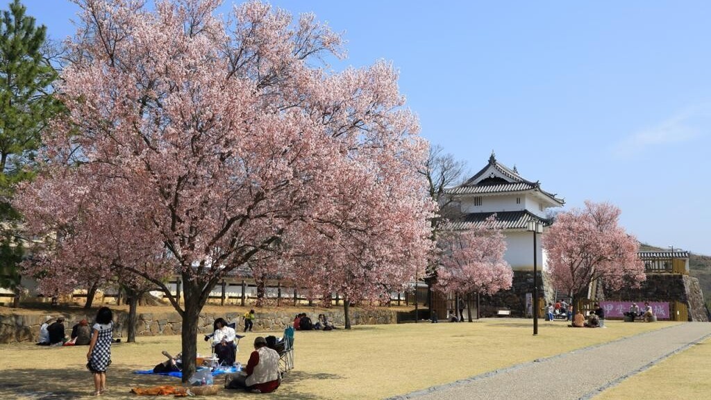 甲府城跡（舞鶴城公園）