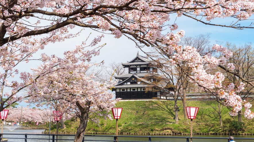 高田城址公園◆観桜会