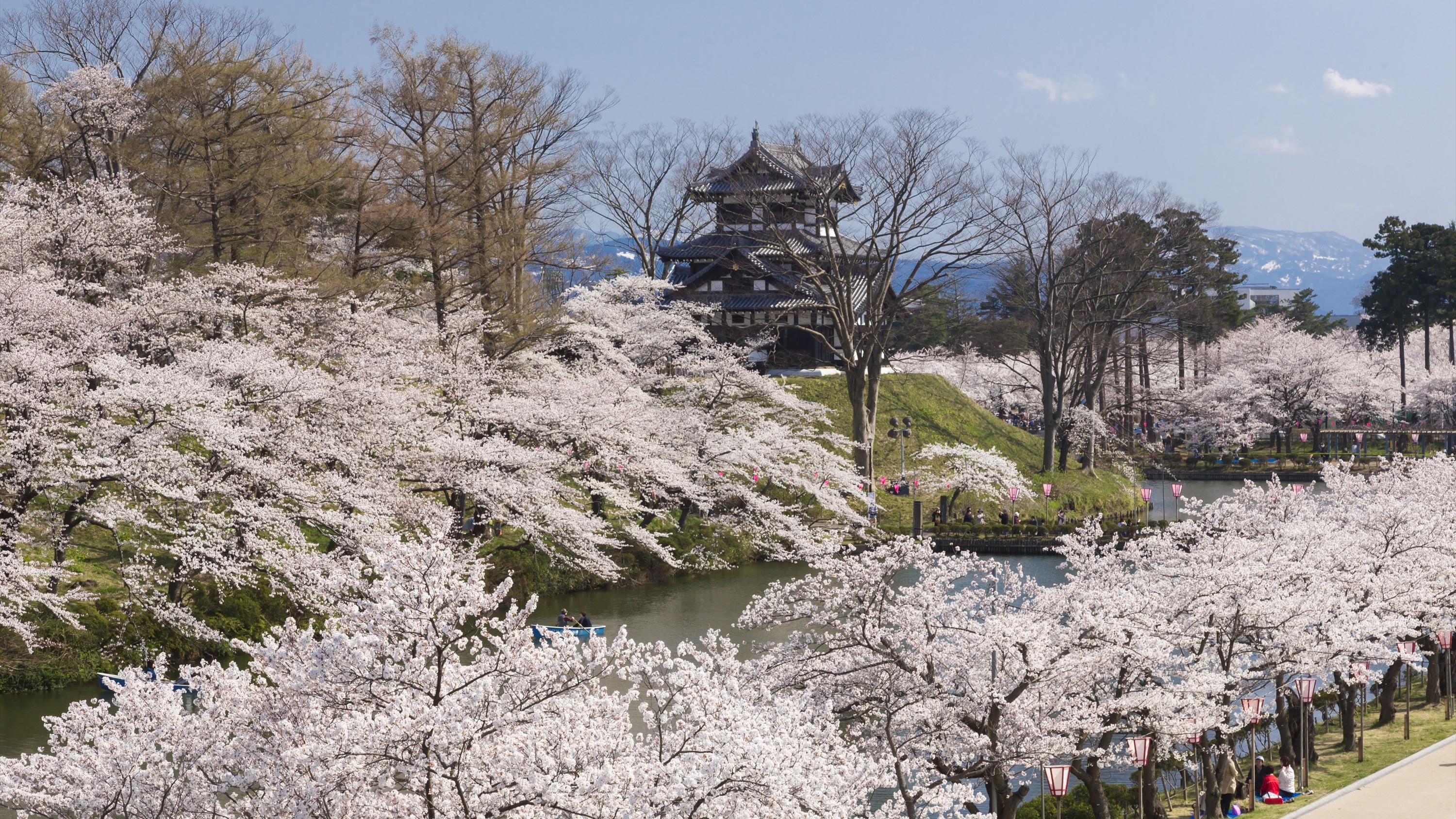 高田城址公園観桜会
