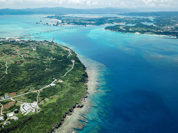 hana stay 写真 動画 楽天トラベル hana stay 写真 動画 楽天トラベル