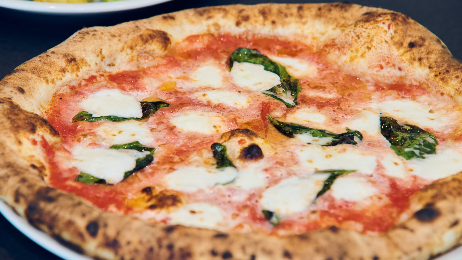 【UBUYAMA PLACE 夕食コース】＜2食付き＞夕食時の送迎付き！阿蘇を感じるコース料理で舌鼓