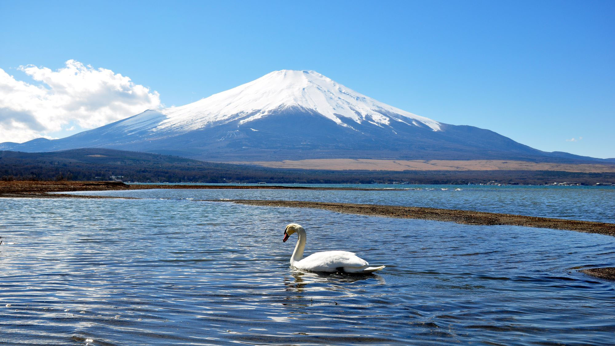 冬の山中湖と富士山*