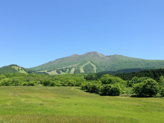 夏の秋田駒ヶ岳。多数の高山植物が楽しめる。