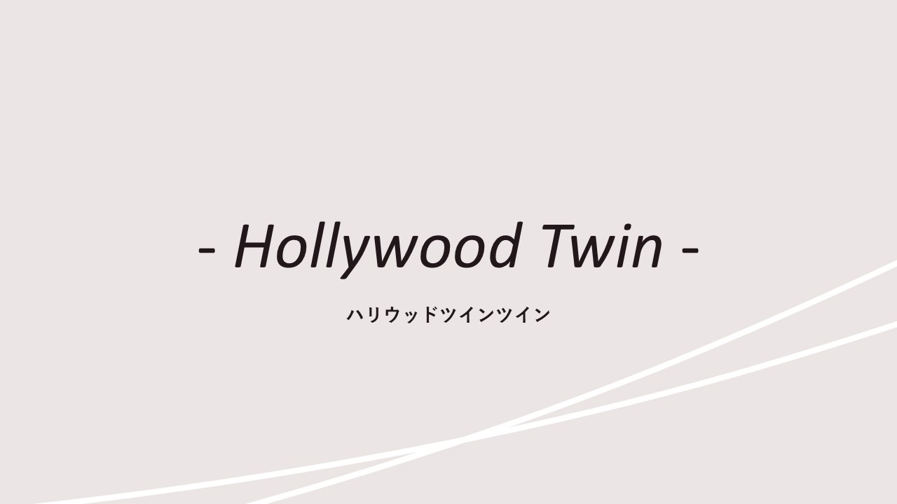 客室紹介(ハリウッドツイン)
