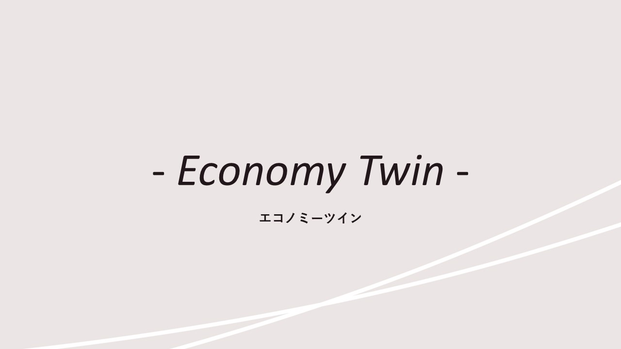 客室紹介(エコノミーツイン)