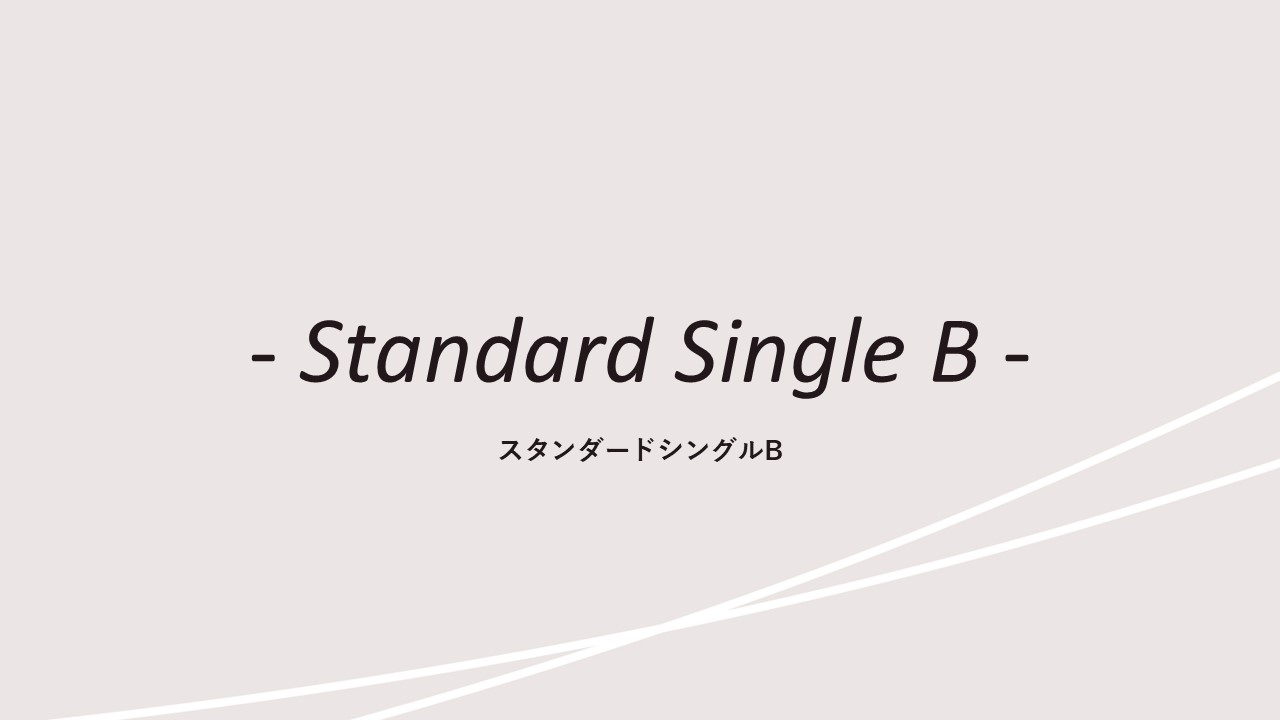 客室紹介(スタンダードシングルB)