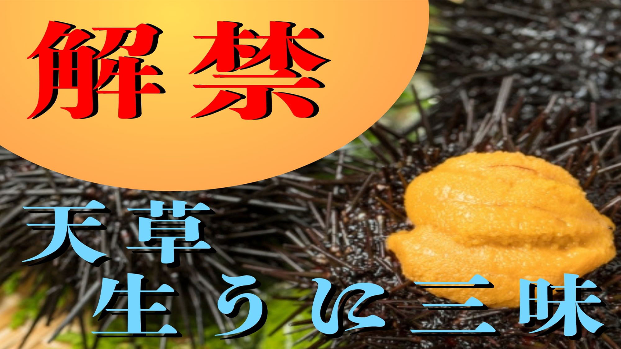 今年もこの時期がやってきました！！