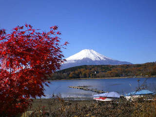 秋・紅葉