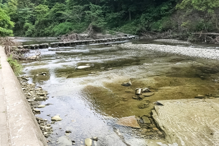 養老川の浅瀬一例