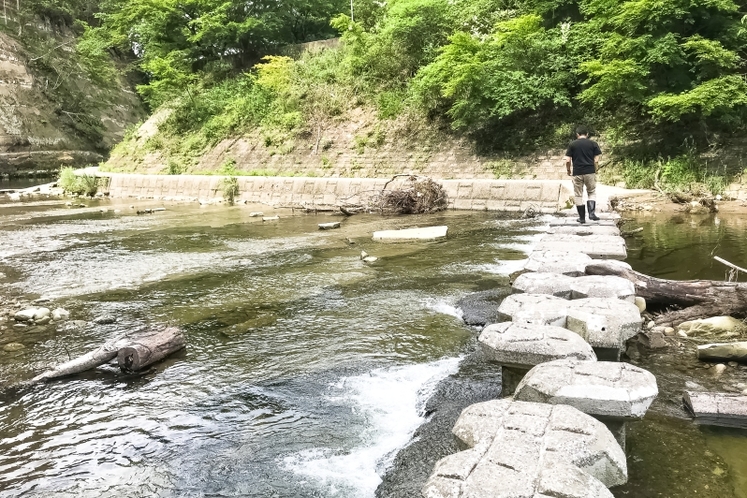 養老川の浅瀬一例