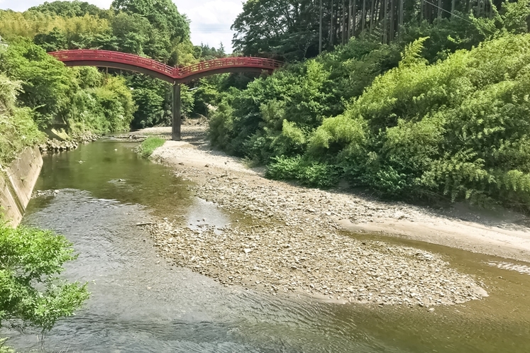 養老川の浅瀬一例